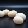 生态初生鸡蛋 | 绿家自产* Eco- primary egg | Self-production 商品缩略图1