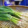 生态蒜苗 | 绿家自产 * Ecological garlic bolt | In-House Production 商品缩略图0