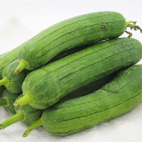 生态水瓜 | 绿家自产*Eco-water melon | Self-production