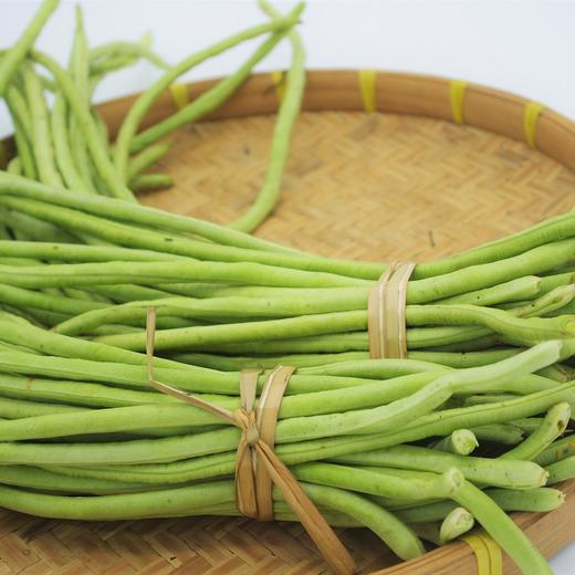 生态豇豆绿家自产ecologicalcowpeasselfproduction