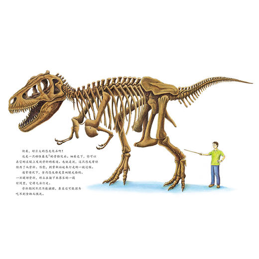 受伤的暴龙（4岁以上） 商品图2