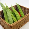 生态丝瓜 | 绿家自产*ecological towel gourd | Self-production 商品缩略图0