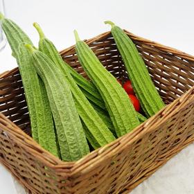 生态丝瓜 | 绿家自产*ecological towel gourd | Self-production
