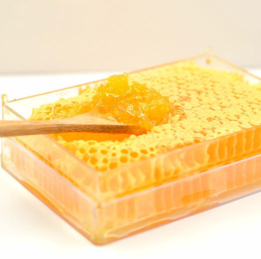 【限量第二盒半价！】新疆阿勒泰原生巢蜜盒 无污染 无添加 自然产蜜（500g/盒，限乌市地址！） 商品图0