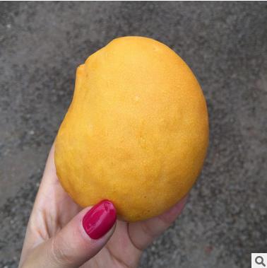 【芒果】圣德龙芒果新鲜水果小鸡芒果香甜香芒果5斤大果胜台农芒 商品图2