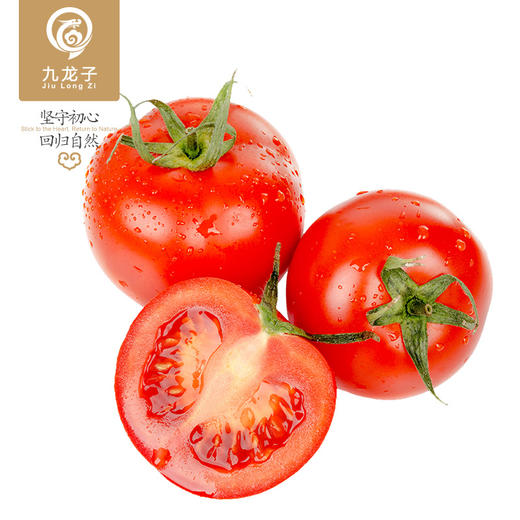 西红柿 商品图0