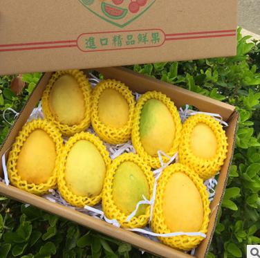 【芒果】圣德龙芒果新鲜水果小鸡芒果香甜香芒果5斤大果胜台农芒 商品图1