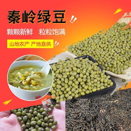 秦岭绿豆 商品图0