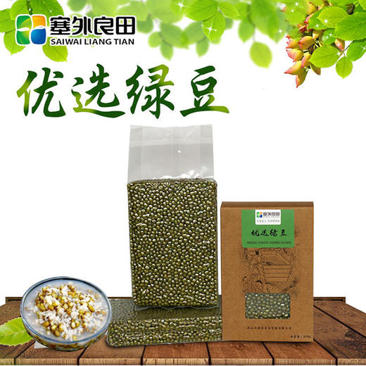 【塞外良田】优选东北绿豆 优选杂粮 手工挑选 370g 商品图0