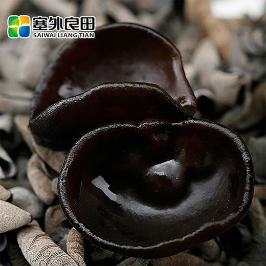 【塞外良田】【小黑碗儿】东北黑木耳 200g 特产尚品秋耳 商品图4