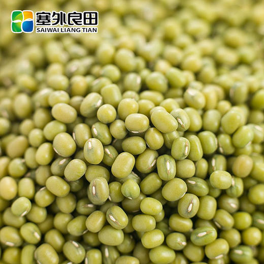 【塞外良田】优选东北绿豆 优选杂粮 手工挑选 370g 商品图1