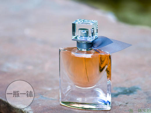 兰蔻 美丽人生 Lancome La Vie Est Belle 分装 商品图6