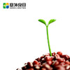 【塞外良田】优选东北红豆  优选杂粮 手工挑选 380g 商品缩略图1