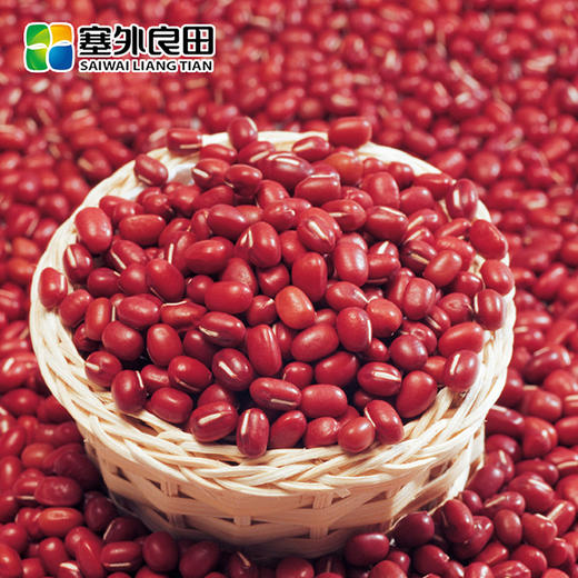 【塞外良田】优选东北红豆  优选杂粮 手工挑选 380g 商品图3