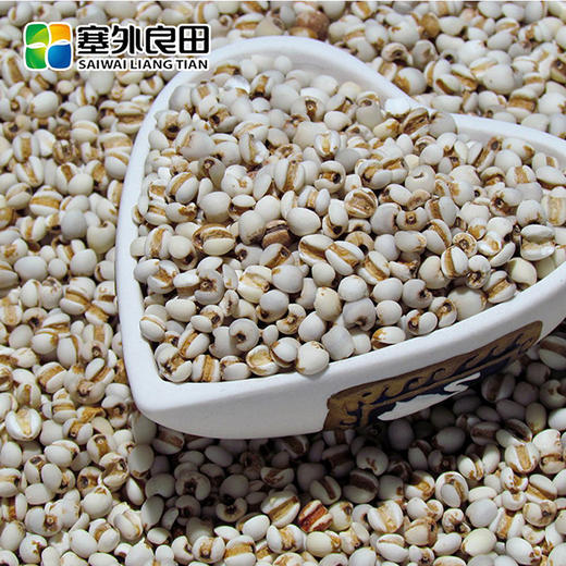 【塞外良田】优选东北薏米  优选杂粮  手工挑选  330g 商品图1