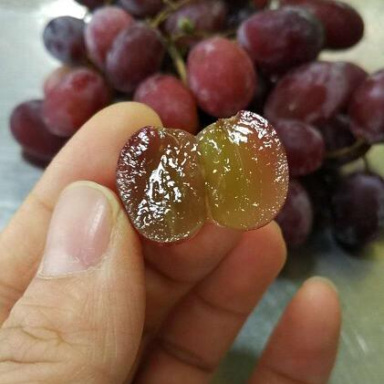 限时秒杀南非无籽红提甜爽多汁299元2斤略小干枝