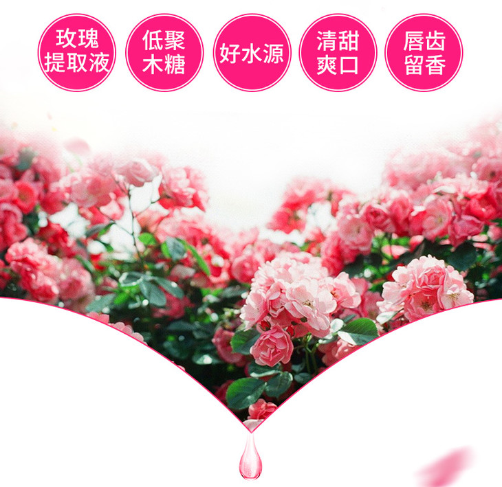 名仁玫瑰苏打水饮料玫瑰水375ml24瓶特加天然玫瑰花提取液