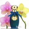 Annick Goutal 晚星星空淡香水EDT Nuit Etoilee 小样/正装 商品缩略图0