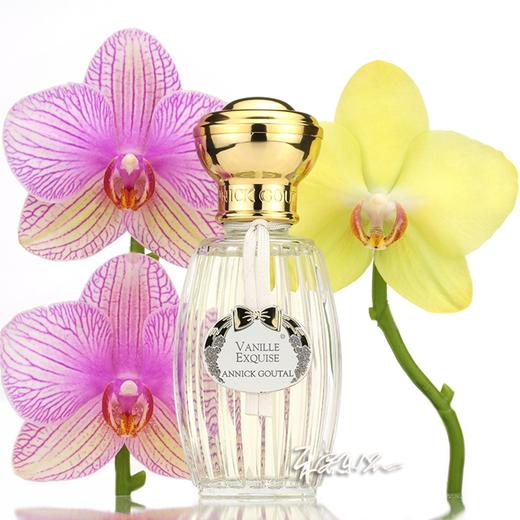 Annick Goutal精致香草淡香水Vanille Exquise EDT 小样/正装 商品图0