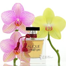 LALIQUE莱俪 水晶之恋红水晶女士香水 小样/正装