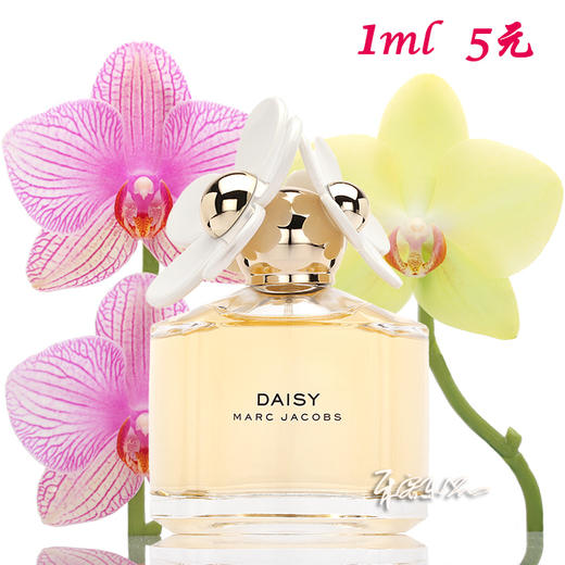 Marc Jacobs莫杰雏菊女士香水 原版 Daisy 小样/正装 商品图0