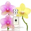 祖马龙 祖玛珑 红玫瑰香水 JO MALONE red roses 小样/正装 商品缩略图0