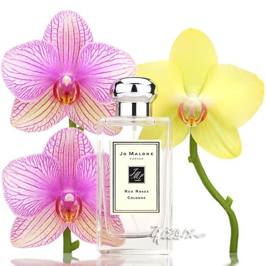 祖马龙 祖玛珑 红玫瑰香水 JO MALONE red roses 小样/正装 商品图0