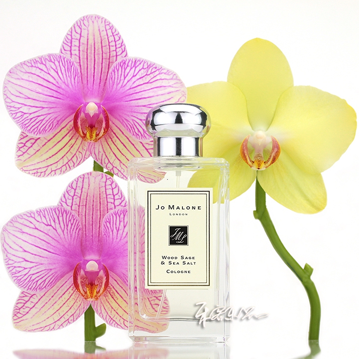 JO MALONE/祖马龙 祖玛珑 鼠尾草与海盐香水wood sage 小样/正装