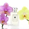 JO MALONE 祖马龙/祖玛珑 牡丹与胭红麂绒香水小样/正装 商品缩略图0