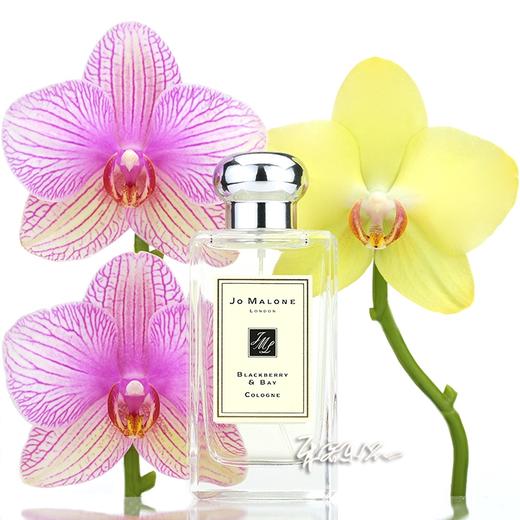 JO MALONE 祖马龙 祖玛珑 黑莓与月桂香水 小样/正装 商品图0