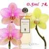 芦丹氏 黑色曼陀罗香水SERGE LUTENS Datura Noir 小样/正装 商品缩略图0
