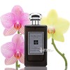 祖马龙 祖玛珑乌木与佛手柑香水 Jo Malone Oud Bergamot小样/正装 商品缩略图0