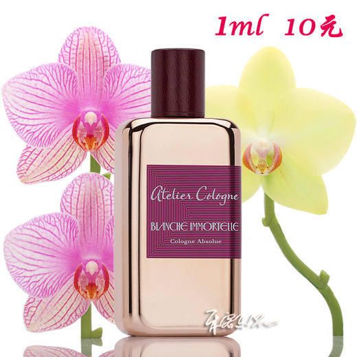 欧珑 纯白蜡菊 恒纯菊萃香水 Blanche Immortelle 分装试管小样/余香 商品图0