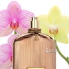 TOM FORD 汤姆福特 阳光兰花女士香水Orchid Soleil 小样/正装 商品缩略图1