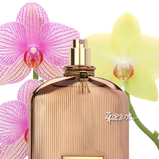 TOM FORD 汤姆福特 阳光兰花女士香水Orchid Soleil 小样/正装 商品图1