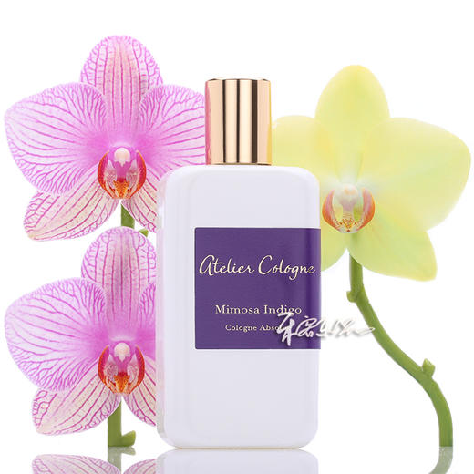 Atelier Cologne Mimosa Indigo 欧珑 靛蓝含羞草香水 小样/正装 商品图0