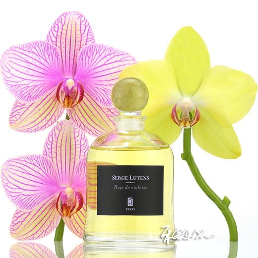 芦丹氏吊钟 紫罗兰森林香水SERGE LUTENS Bois de Violette 小样/正装 商品图0