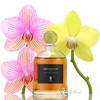 芦丹氏吊钟 摩尔人皮革香水SERGE LUTENS Cuir Mauresque小样/正装 商品缩略图0