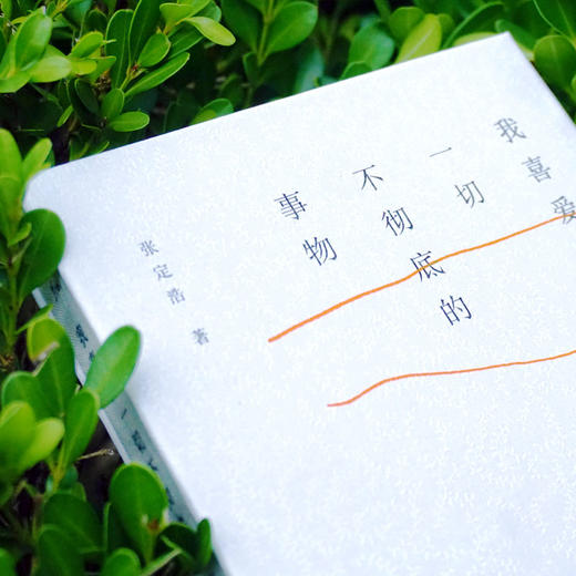 我喜爱一切不彻di的事物 一本可以唱出来的情诗 张定浩waits著 谜文库 现当代诗歌 商品图1