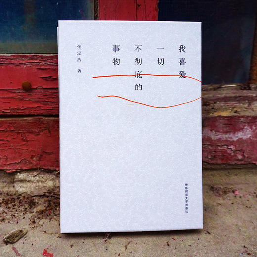 我喜爱一切不彻di的事物 一本可以唱出来的情诗 张定浩waits著 谜文库 现当代诗歌 商品图2