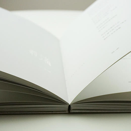 我喜爱一切不彻di的事物 一本可以唱出来的情诗 张定浩waits著 谜文库 现当代诗歌 商品图3