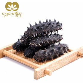 40-60头（大连珍品海参散装）-央珍海参