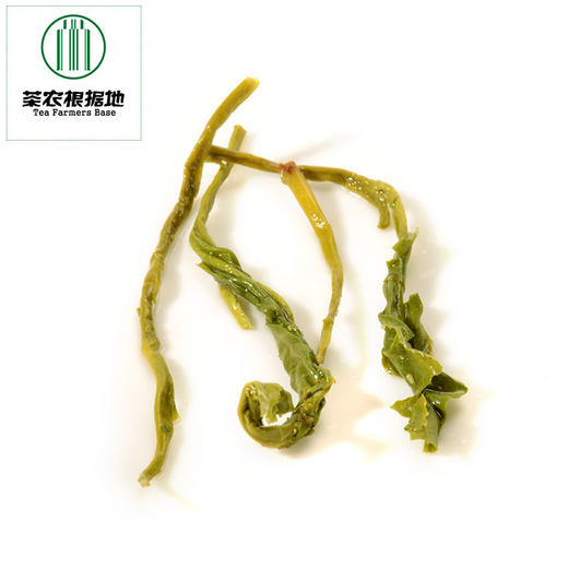 姚大山【三级野茶毛峰】 500克安徽黄山野生绿茶 商品图3