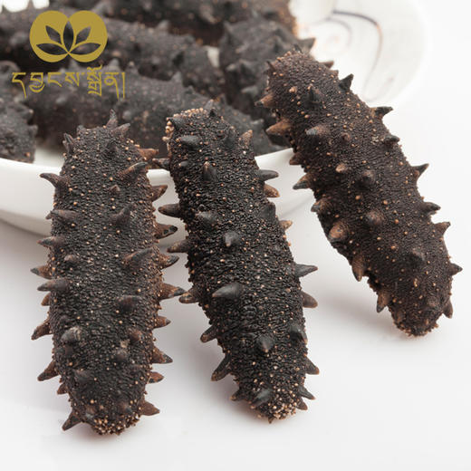 80-100头（大连珍品海参散装）-央珍海参 商品图2