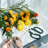 Nature自然系列｜Pro版，新用户首次收花赠花瓶。每周一束升级混合花束，品种随机 商品缩略图1