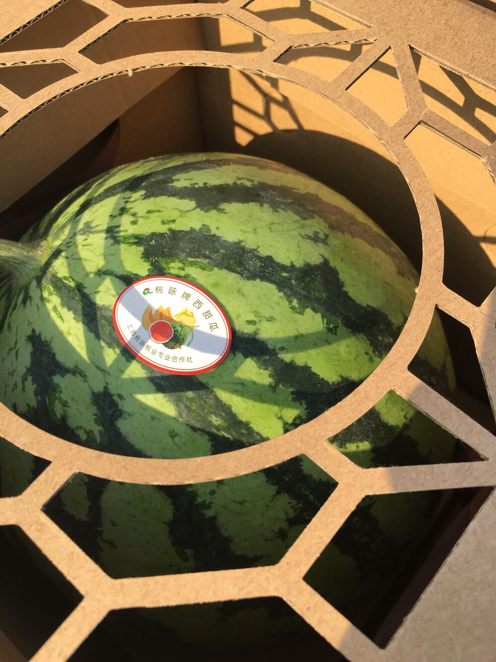 南汇8424,甜,爽