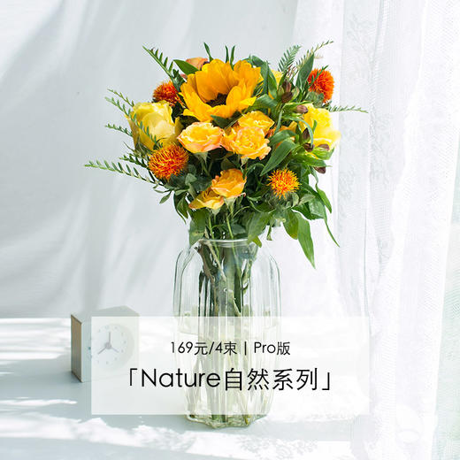 Nature自然系列｜Pro版，季度Pro，新用户首次收花赠「小哥」花瓶。每周一束升级混合花束，品种随机 商品图0
