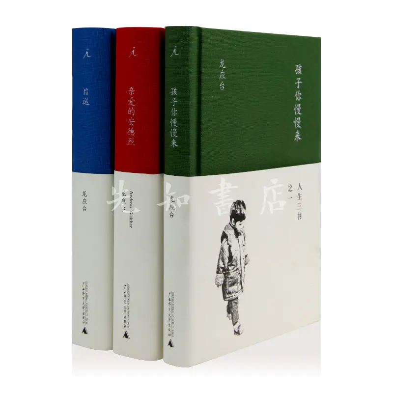 龙应台"人生三书"