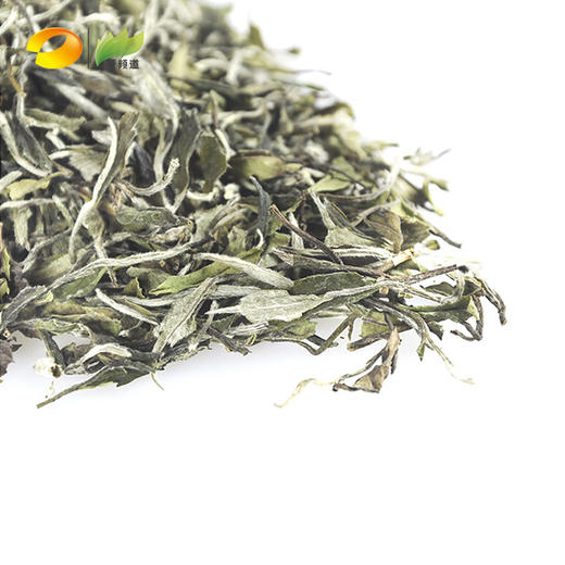 陈源泰福鼎白茶云起一级白牡丹500g