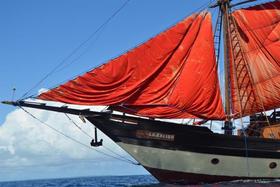 【船宿】印尼四王岛木质帆船船宿La Galigo